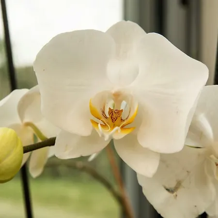 Dolce Casetta Country house