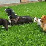 Gospodarstwo wiejskie Dolce Casetta