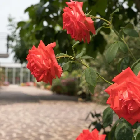 Dolce Casetta Casa de Campo *