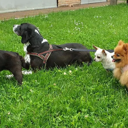 Casa de Campo Dolce Casetta