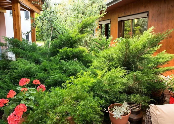 Dolce Casetta Faenza