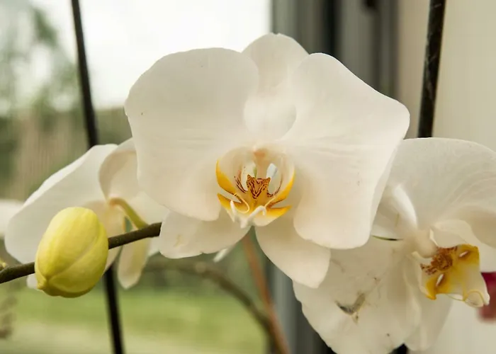 Dolce Casetta Kır Evi