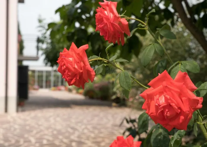 Dolce Casetta Kır Evi *