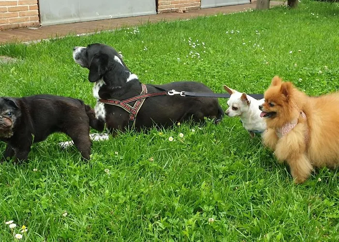 Kır Evi Dolce Casetta