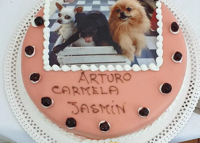 Dolce Casetta *